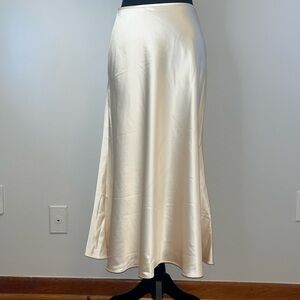 Cider Skirt Sz L NWT